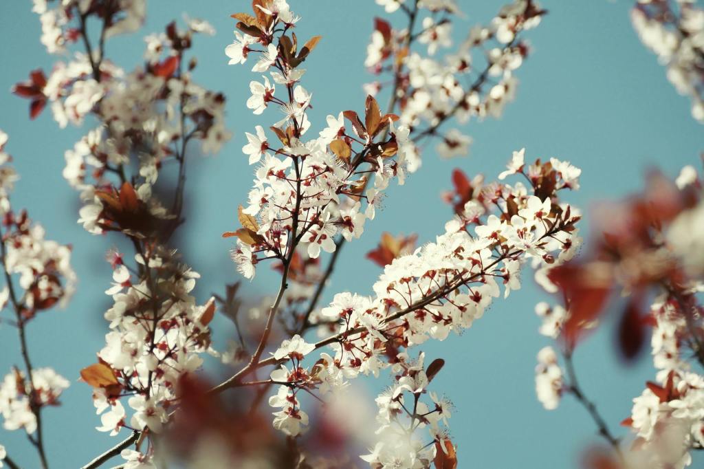 A origem do mês de Setembro